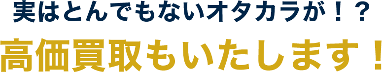 実はとんでもないオタカラが！？高価買取もいたします！