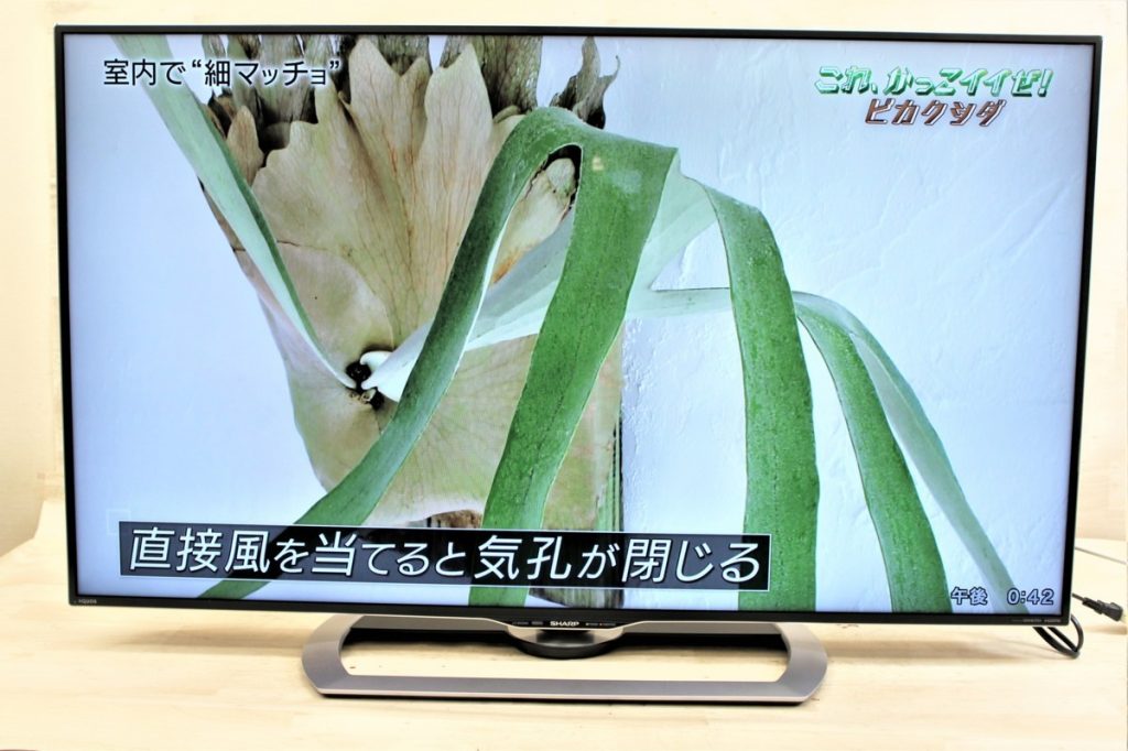 SHARP 50インチ液晶4Kテレビ 2017年製 LC-50US40 HDR シャープ