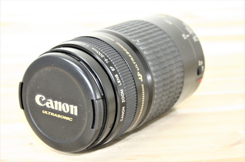 CANON レンズ EF75-300mm 1:4-5.6