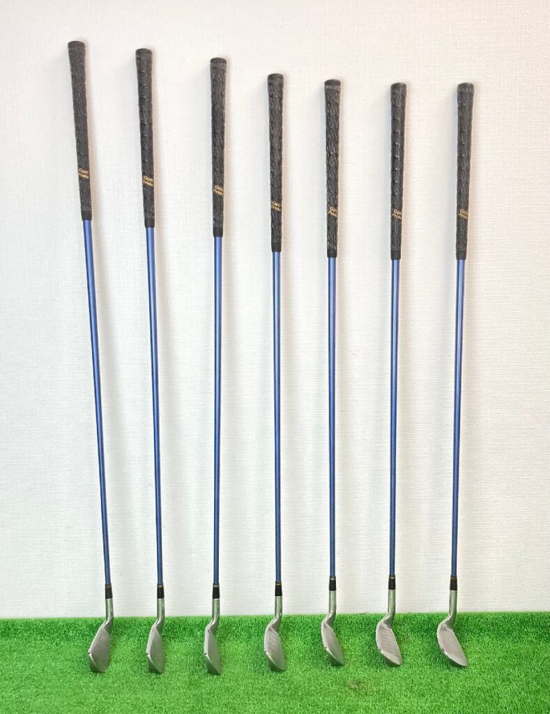 Taylormade #4～#6 #8.#9 S.A. アイアン 7本+その他2本 MIZUNO PROキャディバッグ付き