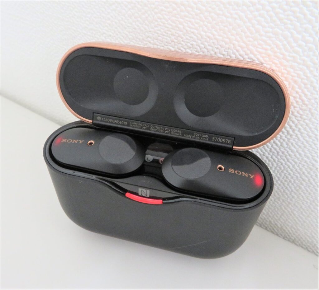 SONY ソニー WF-1000XM3 ワイヤレスイヤホン　通電確認済　動作未確認