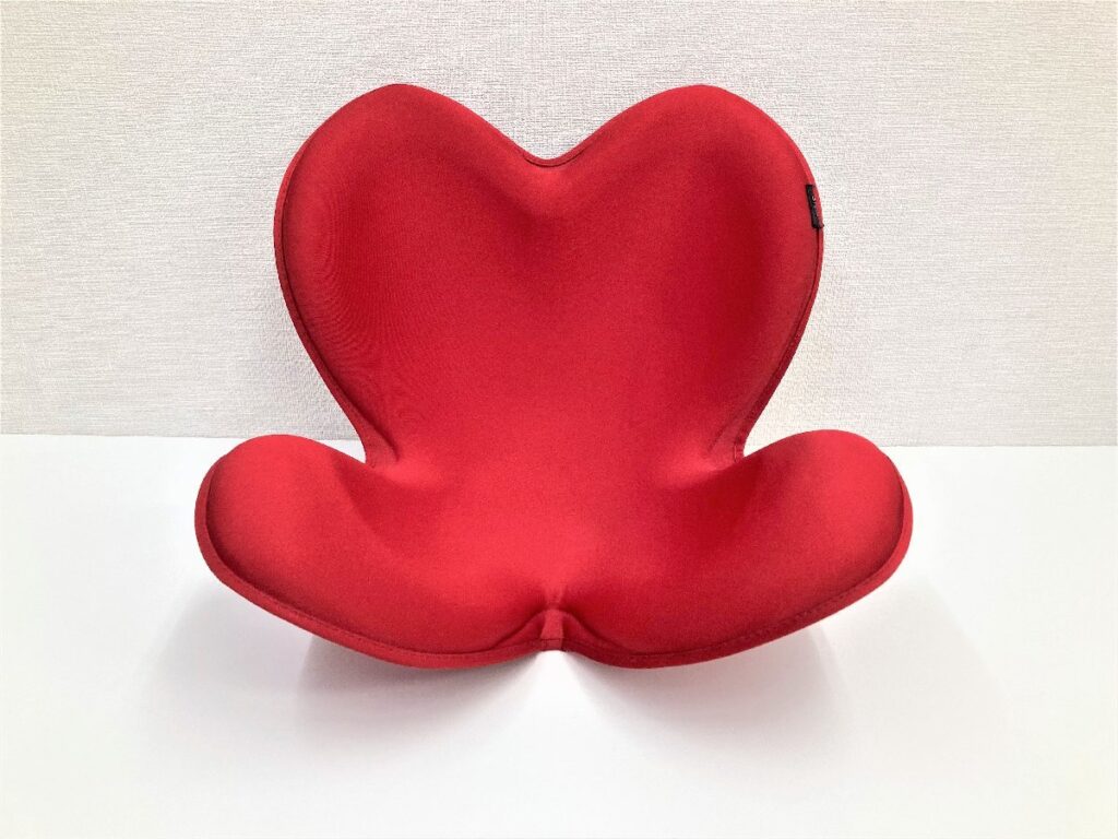 骨盤スタイルチェア Style スタイル ボディメイクシート エクササイズ レッド