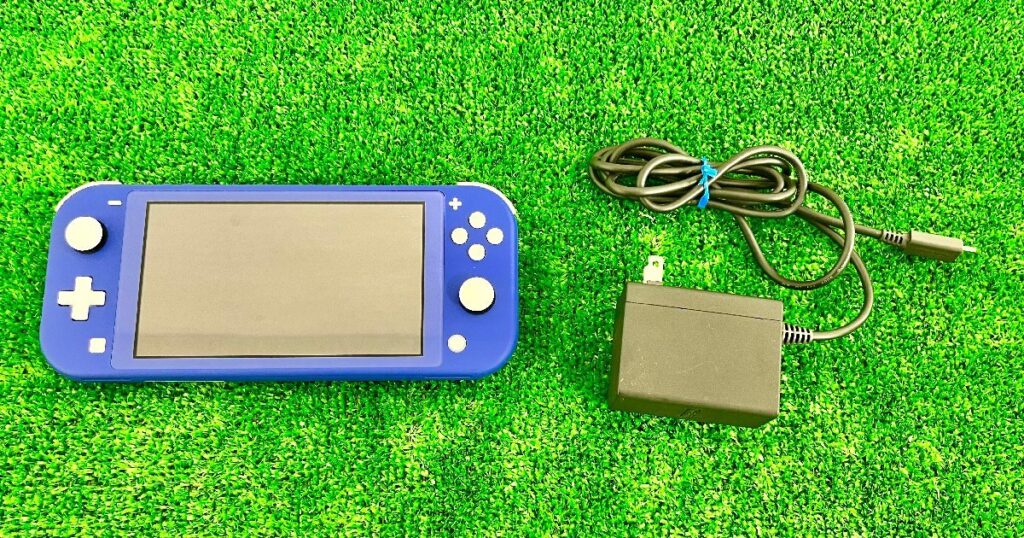 Nintendo Switch Lite ニンテンドー スイッチ HDH-001 ブルー 充電器付 動作確認済 初期化済