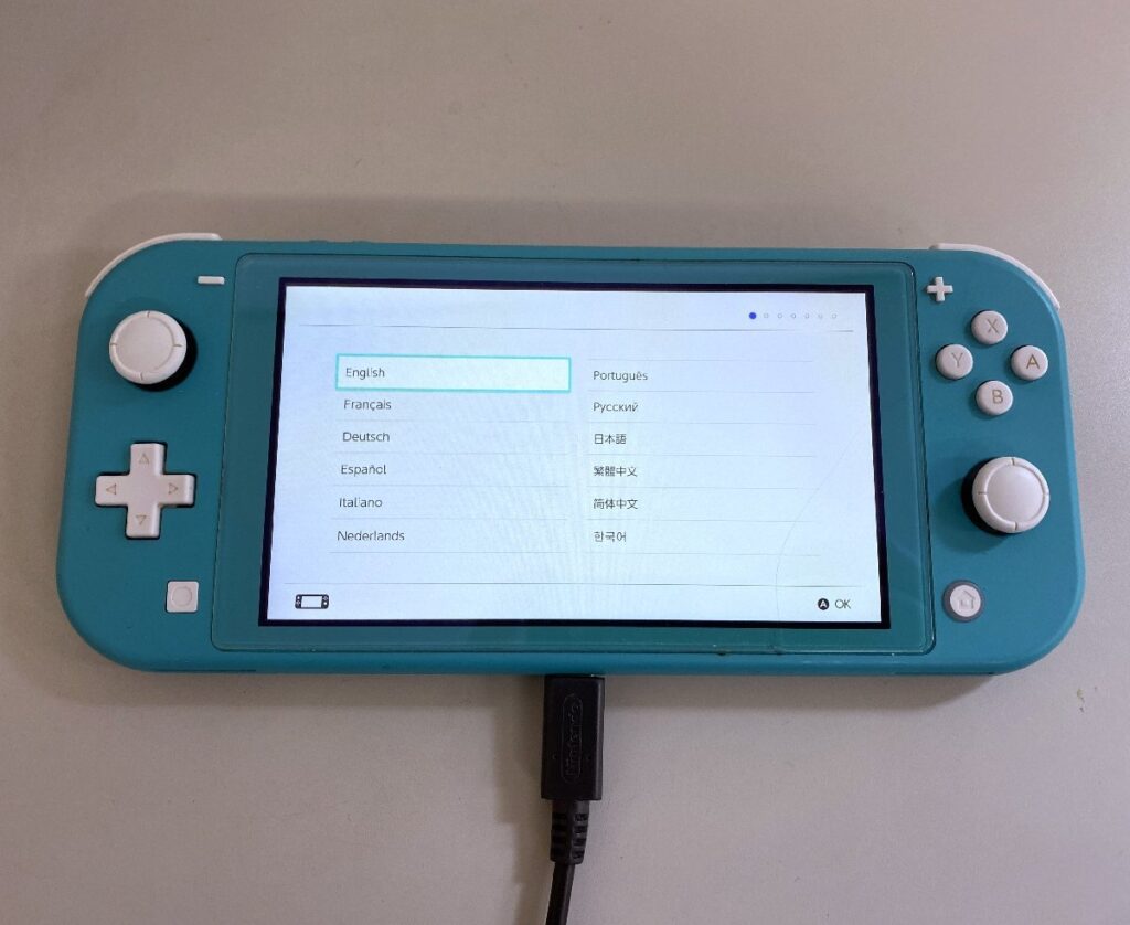 Nintendo switch Lite スイッチ ライト HDH-001 動作確認済み 初期化済み 外箱有 画面にヒビ有