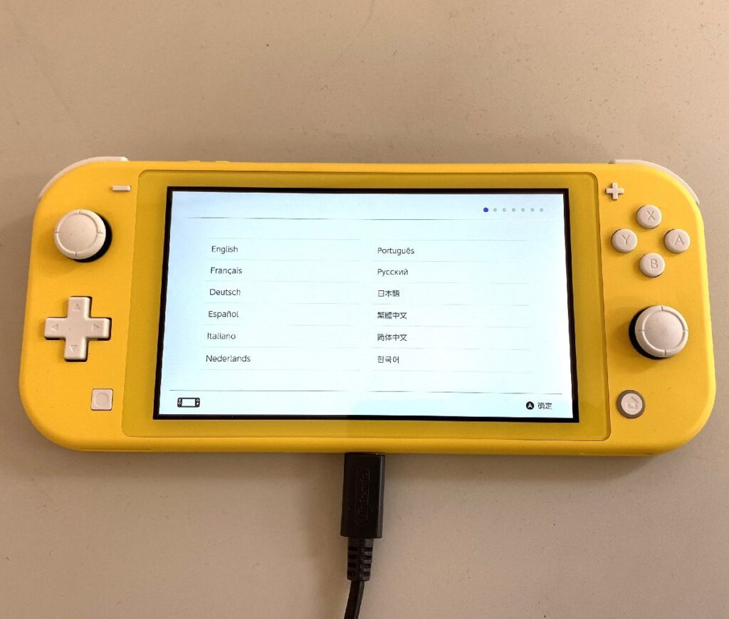 ニンテンドー Nintendo switch スイッチ ライト HDH-001 本体のみ 初期化済み 簡易動作確認済み